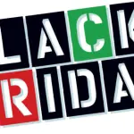 Affari sul Web, il 25% degli americani lo fà. Black Friday al top