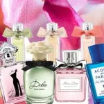 Profumi online da donna: quali sono i più amati?