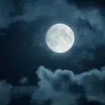 L’annuncio del futuro si sta concretizzando: al via, presto, il turismo sulla Luna