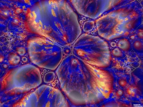 Le cellule tumorali in molti casi sono in realtà cellule “normali” dove non dovrebbero essere